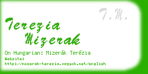 terezia mizerak business card